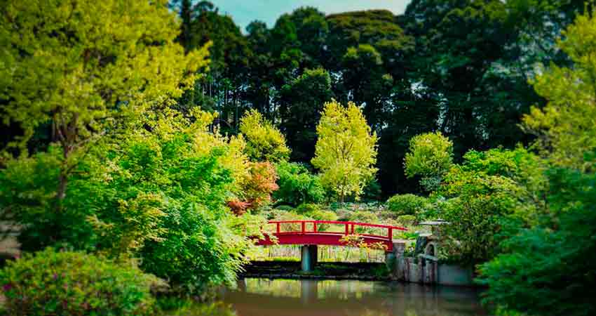 Peony Garden Tokyo