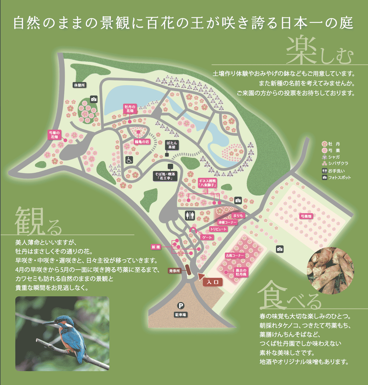Peony Garden Tokyo Map